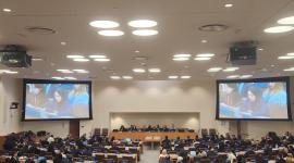 سعادة الشيخة علياء أحمد بن سيف آل ثاني