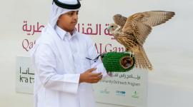 جانب من المسابقة