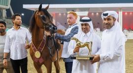 جانب من تتويج الفائزين