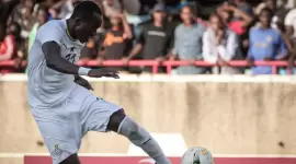 رافائيل دوامينا