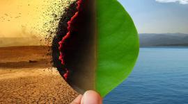 صورة تعبيرية