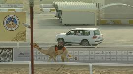 جانب من المنافسات