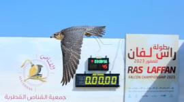 بطولة راس لفان للصقور