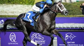 المهر لورد بولينغدن