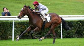 المهرة "مز فيغا"