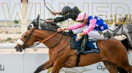 الفرس "إيماج دو كروات"