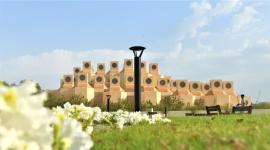 الجامعات في الخليج وقطر