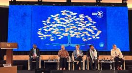 جانب من الاحتفال