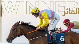 جانب من المنافسات