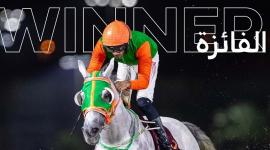 الفرس "اعتبار"