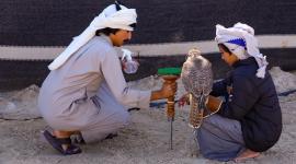 جانب من الفعاليات