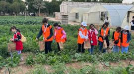 جانب من مشاركة الأطفال بالمخيم