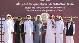 جانب من المهرجان