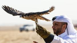 جانب من مهرجان قطر الدولي للصقور والصيد