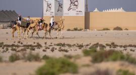 جانب من المنافسات