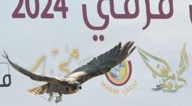 مهرجان قطر الدولي للصقور والصيد "صورة أرشيفية"