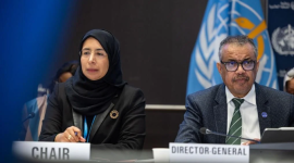 سعادة الدكتورة حنان محمد الكواري وزير الصحة العامة