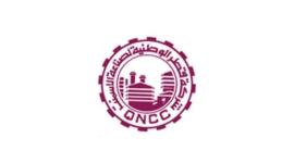 شعار شركة قطر الوطنية لصناعة الاسمنت