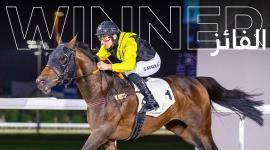 الجواد "بوسويلو بي"