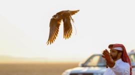 جانب من المنافسات