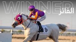 الجواد "سكر"