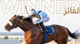 الجواد "أكاونت"