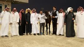 جانب من تتويج الفائزين