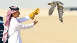 مهرجان مرمي 2024 "صورة أرشيفية"