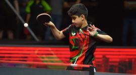 ربيعة الكواري