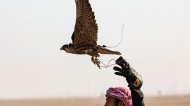 جانب من المنافسات