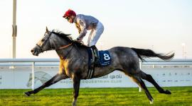 المهر "الزوير"