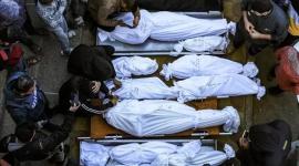 شهداء غزة ضحية العدوان الإسرائيلي