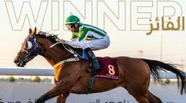 المهر "غولد إن غريت ستور"