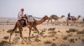 بطولة القلايل للصيد التقليدي