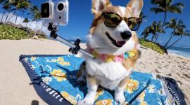 لقطة من مقطع كرتون تم توليده بواسطة الأداة الجديدة "سورا"