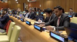 جانب من المشاركة القطرية في المنتدى