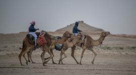 جانب من المنافسات