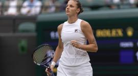 كارولينا بليسكوفا