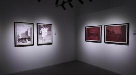 جانب من المعرض