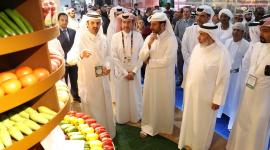 جانب من الافتتاح