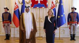 جانب من تسليم أوراق الاعتماد