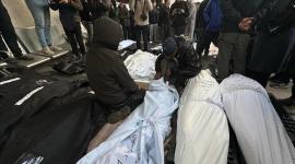 ضحايا العدوان الإسرائيلي على قطاع غزة