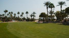 ملعب نادي الدوحة للجولف