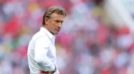 هيرفي رينارد