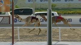 جانب من المنافسات