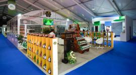 جانب من المعرض