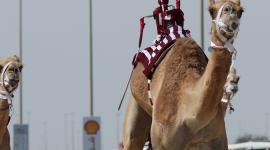 جانب من المنافسات