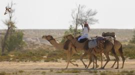 بطولة القلايل للصيد التقليدي