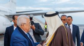 جانب من الاستقبال