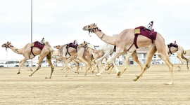 جانب من المنافسات